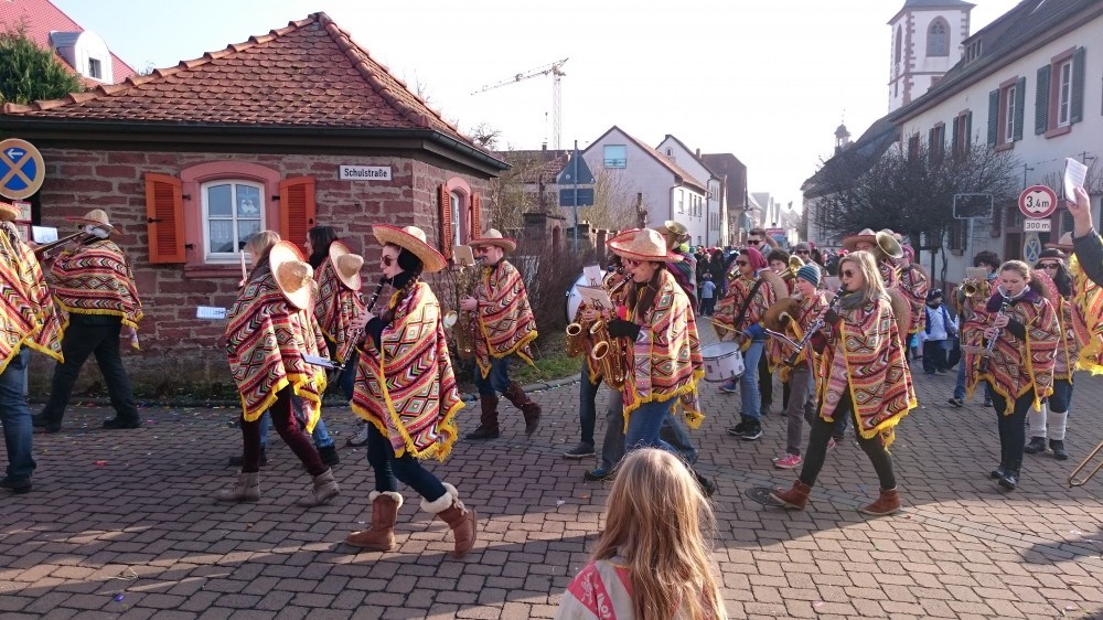 Faschingszug 2015 in Thüngersheim